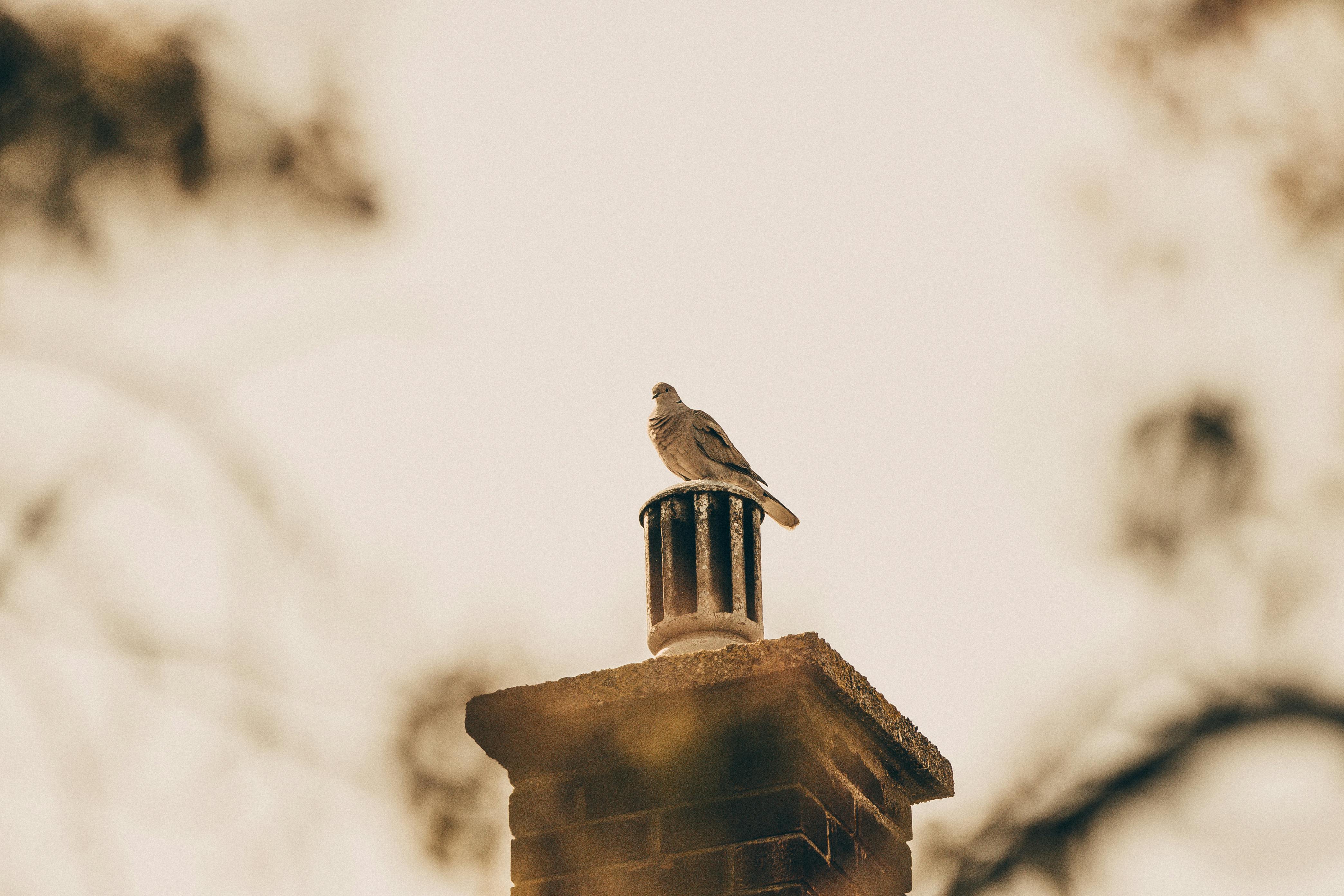Professional Chimney Cap Installation Services in Westlake Village, CA Expert Chimney Cap Installation in Westlake Village, California